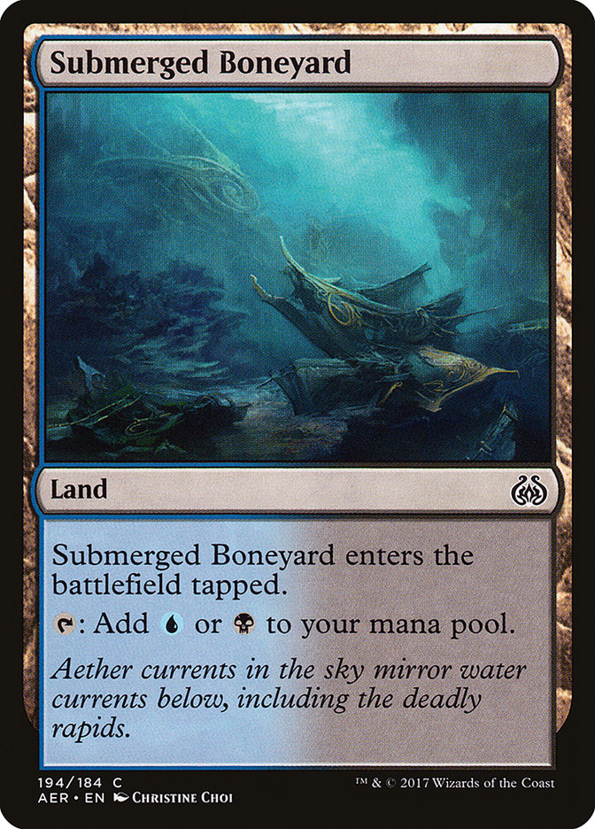 image Submerged Boneyard