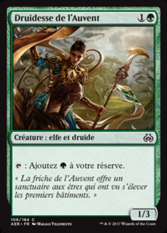 image Druidesse de l'Auvent