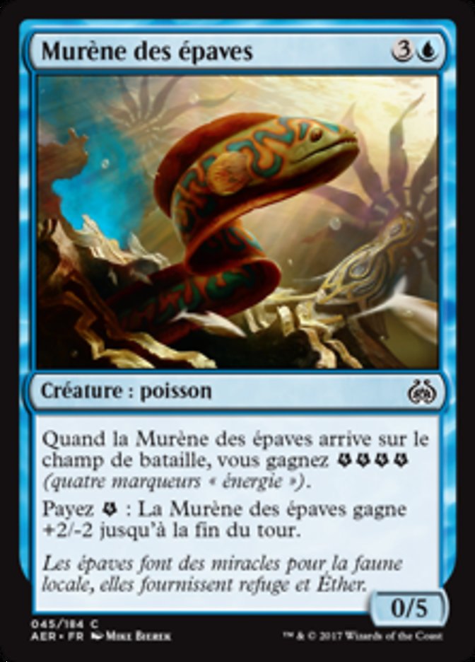 image Murène des épaves