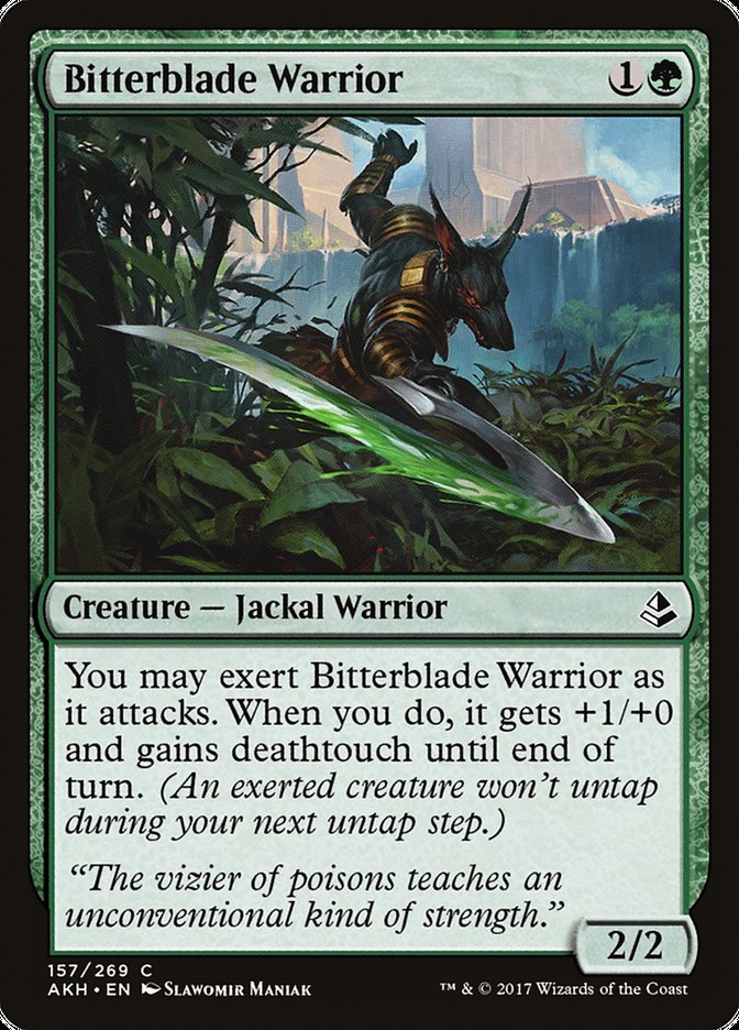 image Bitterblade Warrior