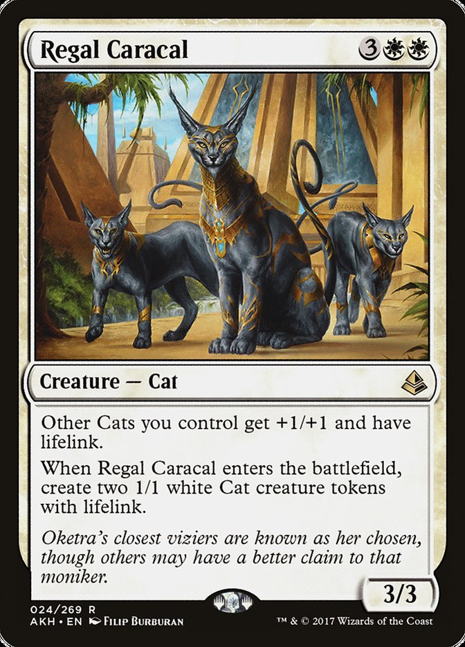 image Regal Caracal