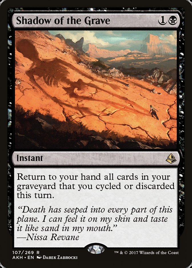 image Shadow of the Grave