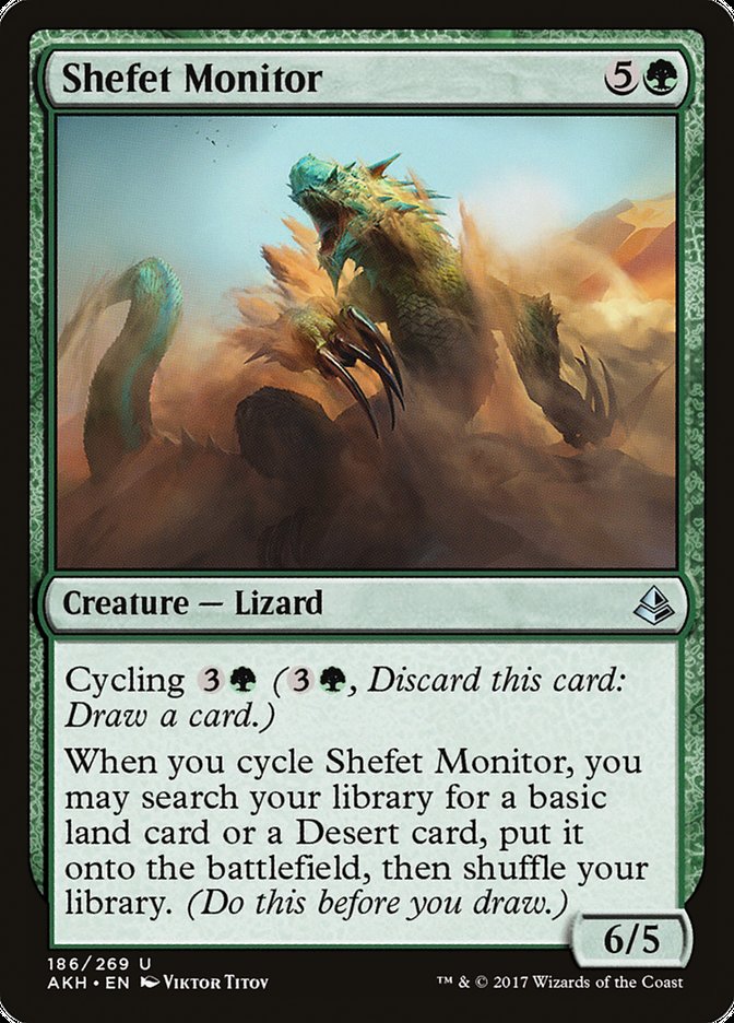 image Shefet Monitor