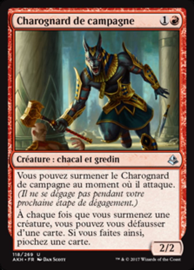 image Charognard de campagne
