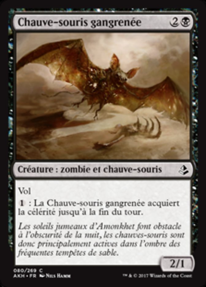 image Chauve-souris gangrenée