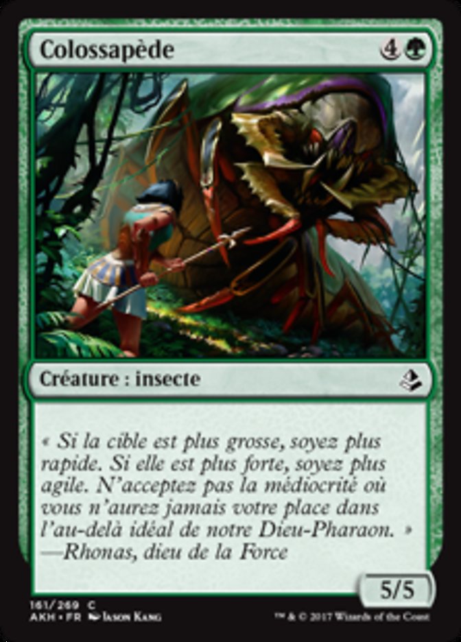 image Colossapède