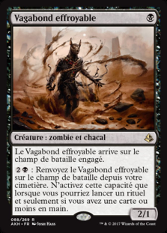 image Vagabond effroyable