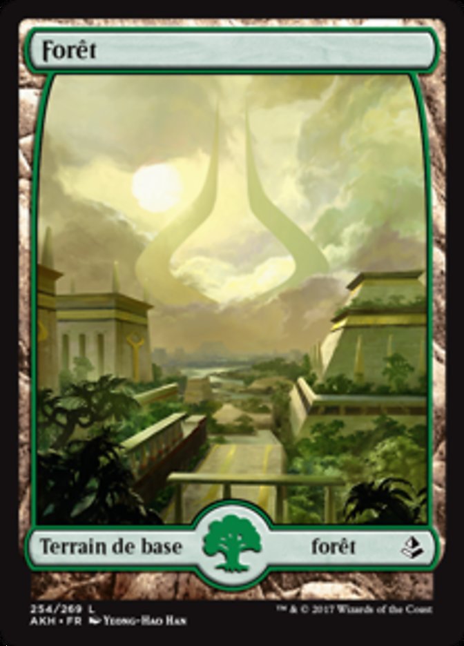 image Forêt