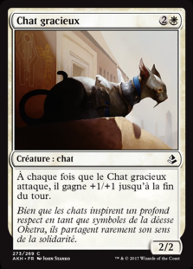 image Chat gracieux