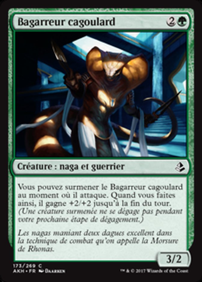 image Bagarreur cagoulard