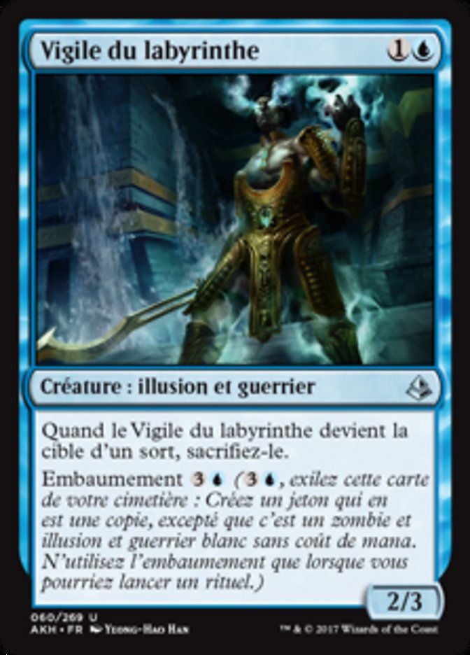 image Vigile du labyrinthe