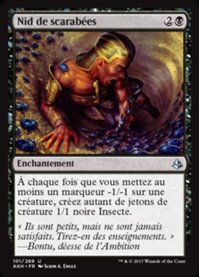 image Nid de scarabées