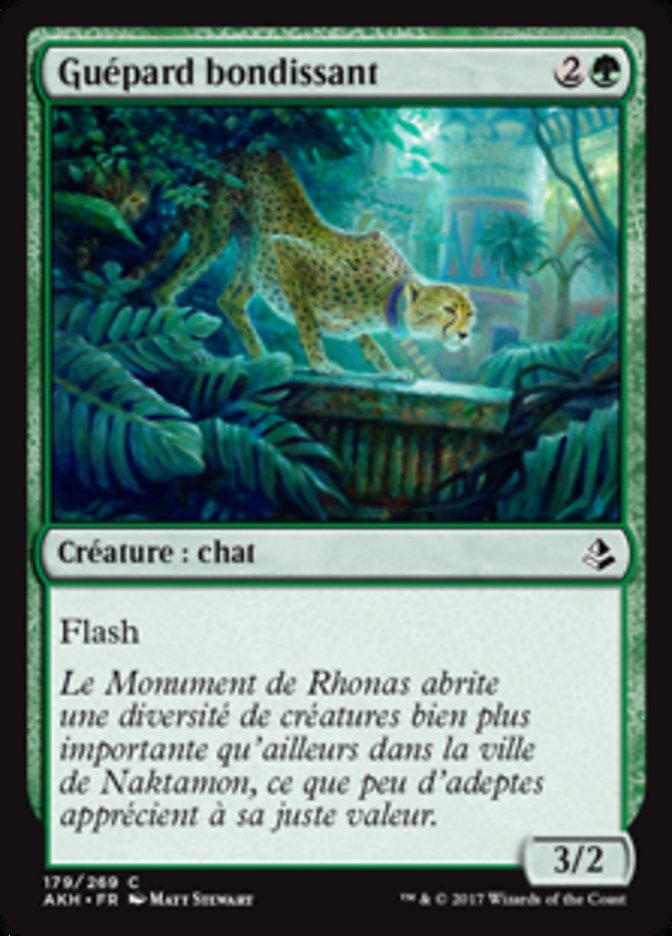 image Guépard bondissant