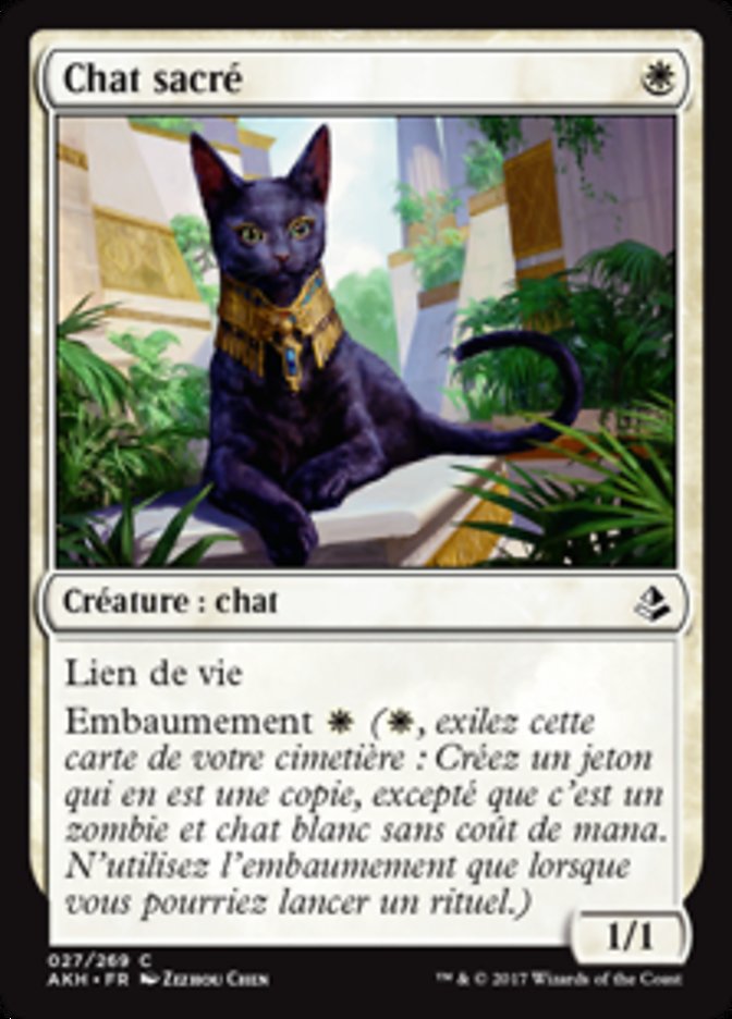 image Chat sacré