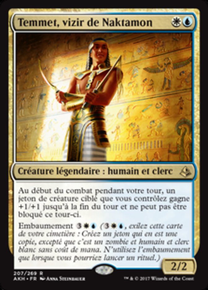 image Temmet, vizir de Naktamon