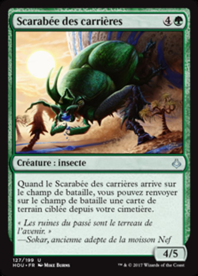 image Scarabée des carrières