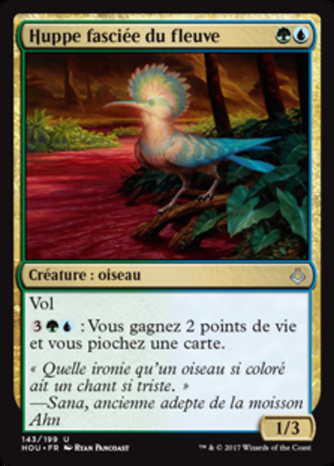 image Huppe fasciée du fleuve