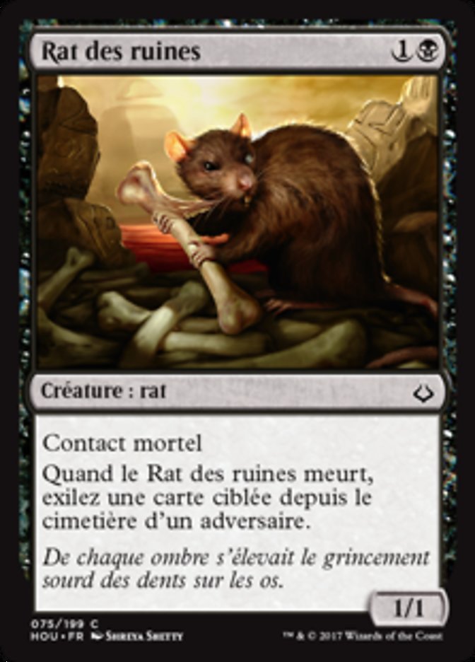 image Rat des ruines