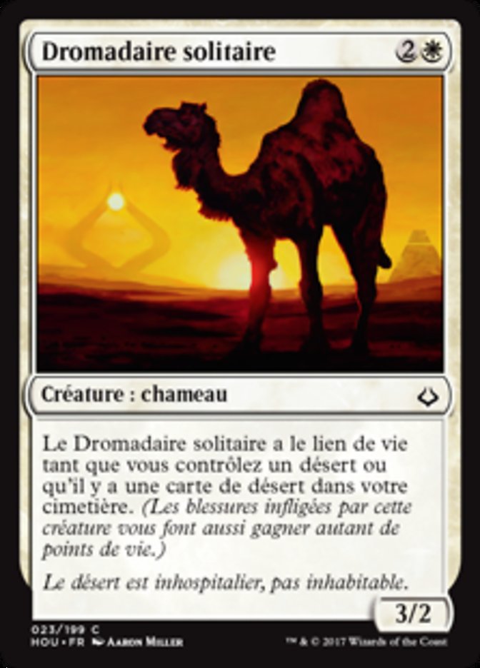 image Dromadaire solitaire