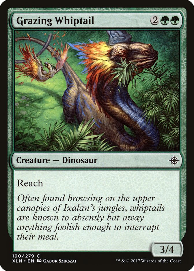 image Grazing Whiptail
