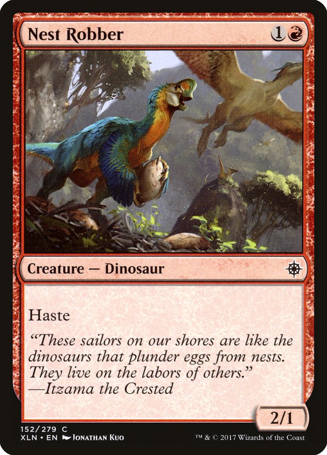 image Nest Robber