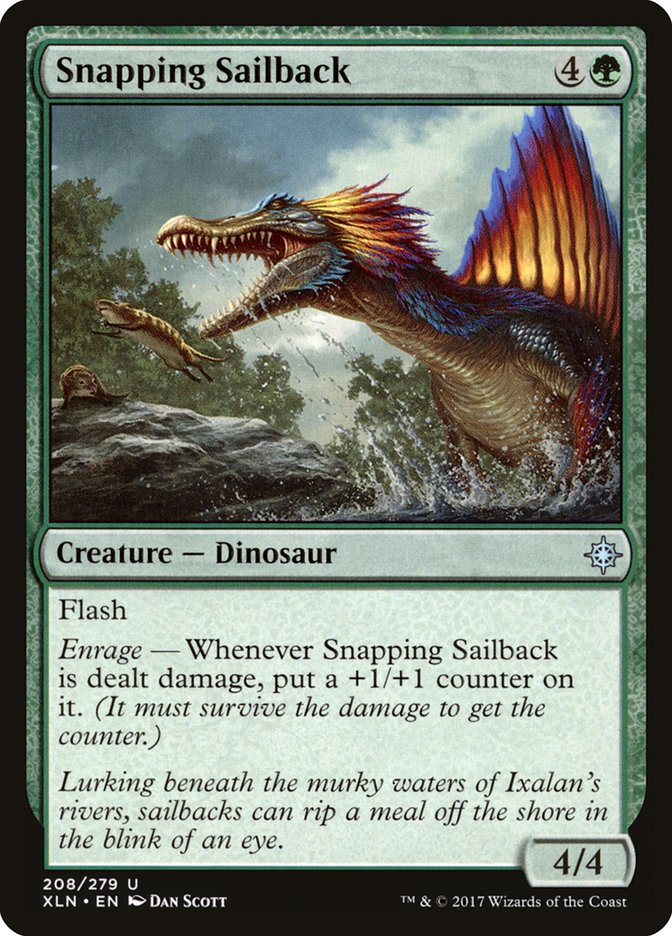 image Snapping Sailback