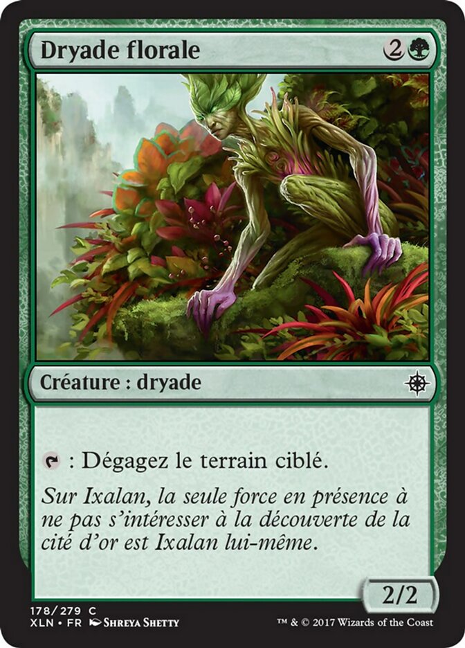 image Dryade florale