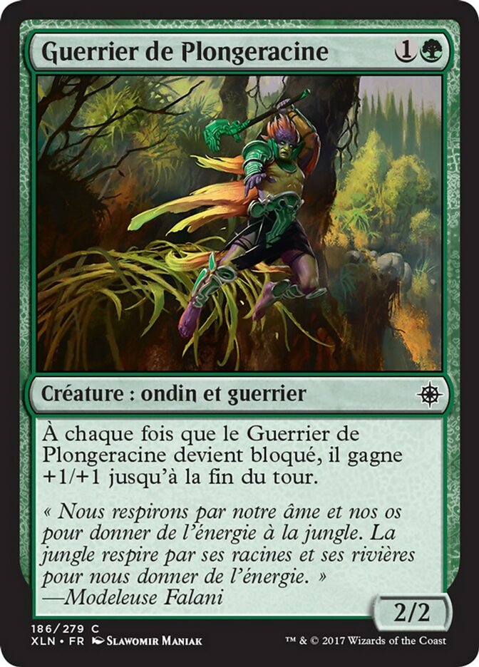 image Guerrier de Plongeracine