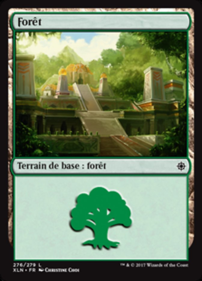 image Forêt
