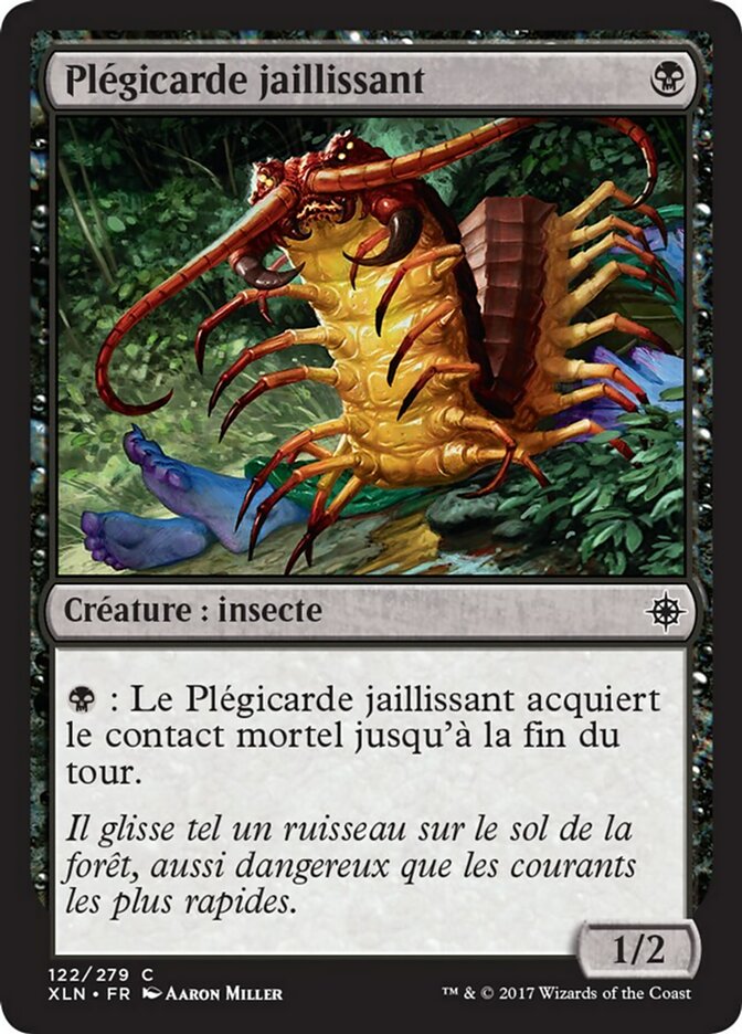 image Plégicarde jaillissant