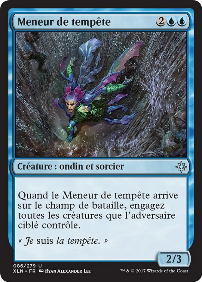 image Meneur de tempête