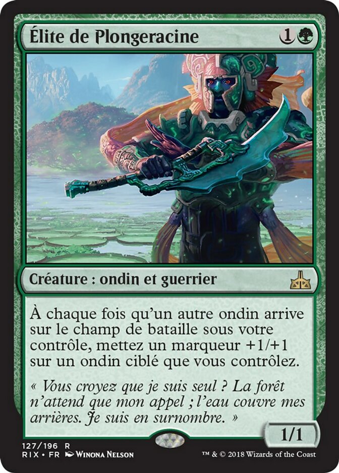 image Élite de Plongeracine