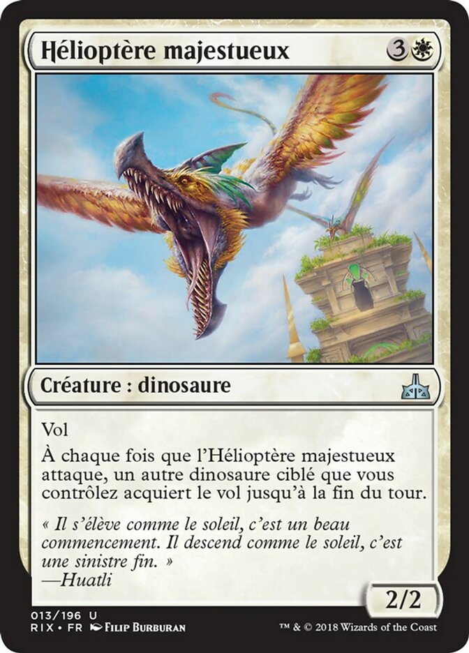 image Hélioptère majestueux