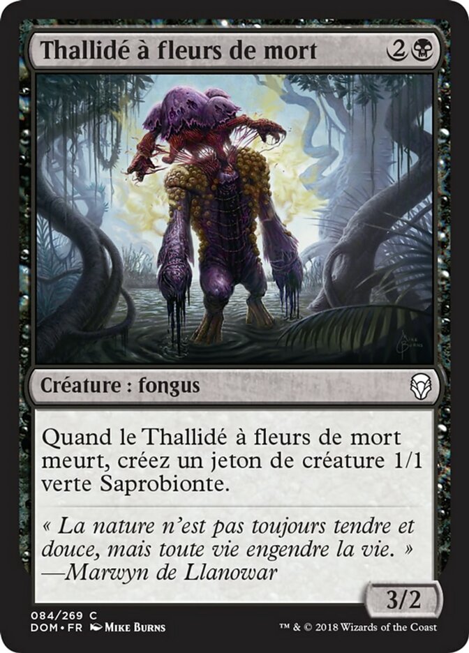 image Thallidé à fleurs de mort