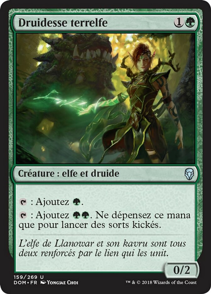 image Druidesse terrelfe