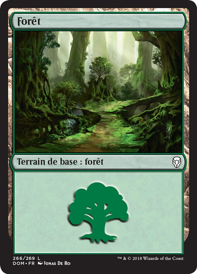 image Forêt