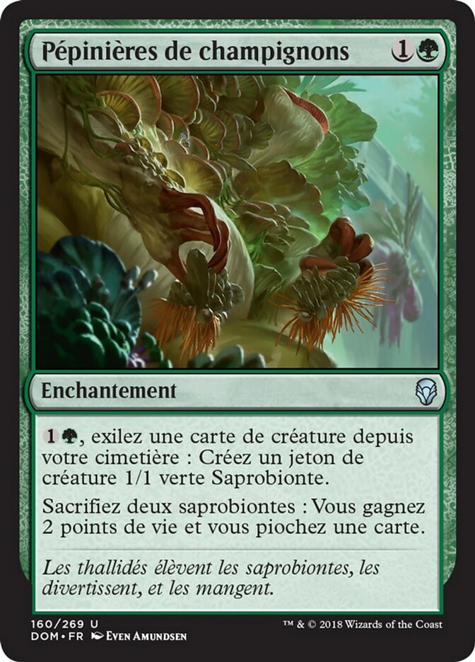 image Pépinières de champignons