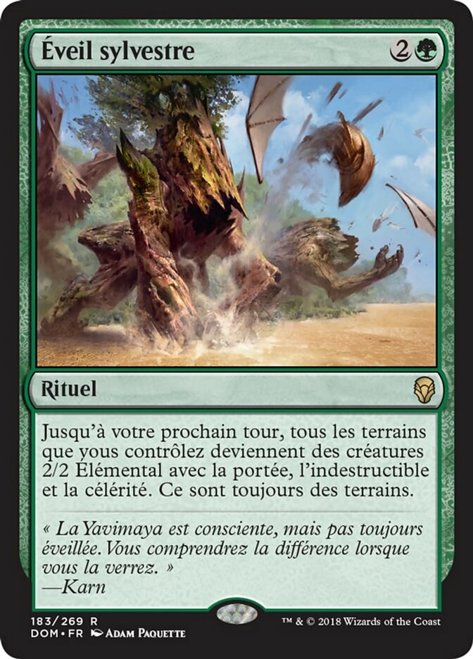 image Éveil sylvestre