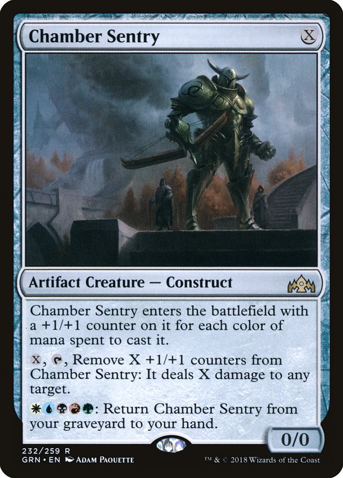 image Chamber Sentry