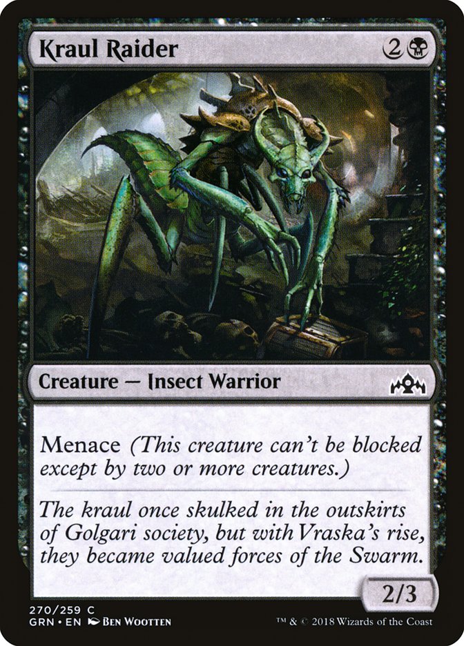 image Kraul Raider