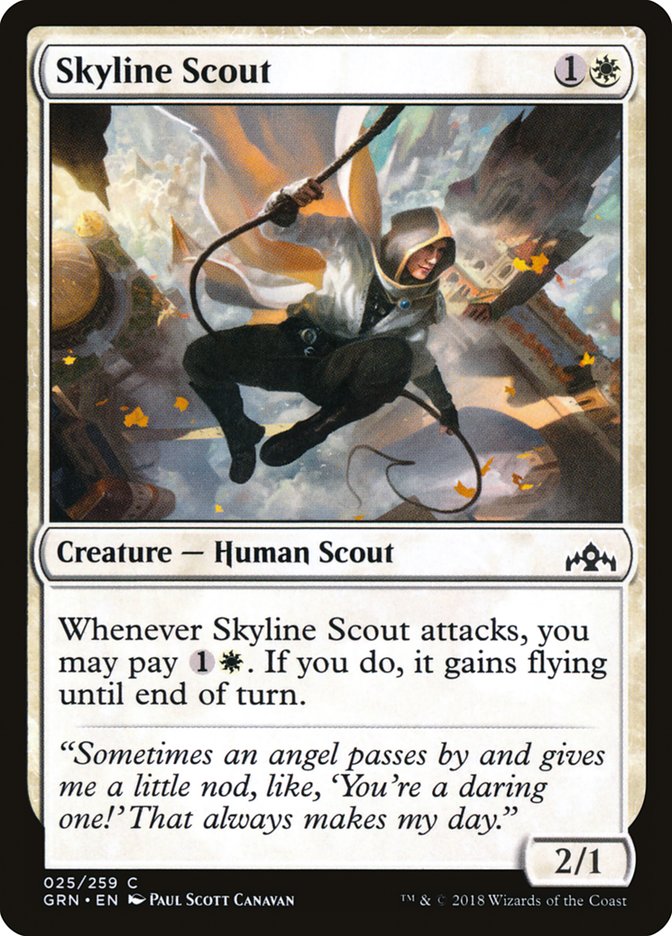 image Skyline Scout