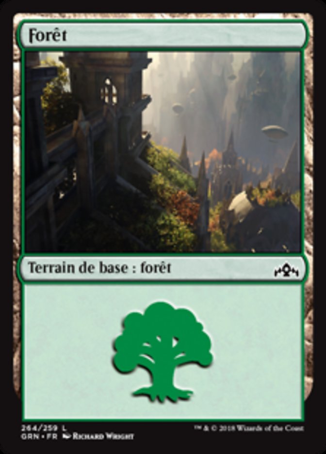 image Forêt