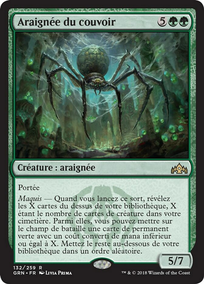 image Araignée du couvoir