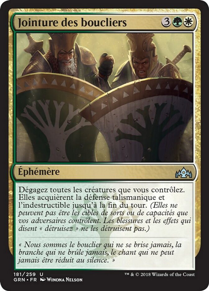 image Jointure des boucliers
