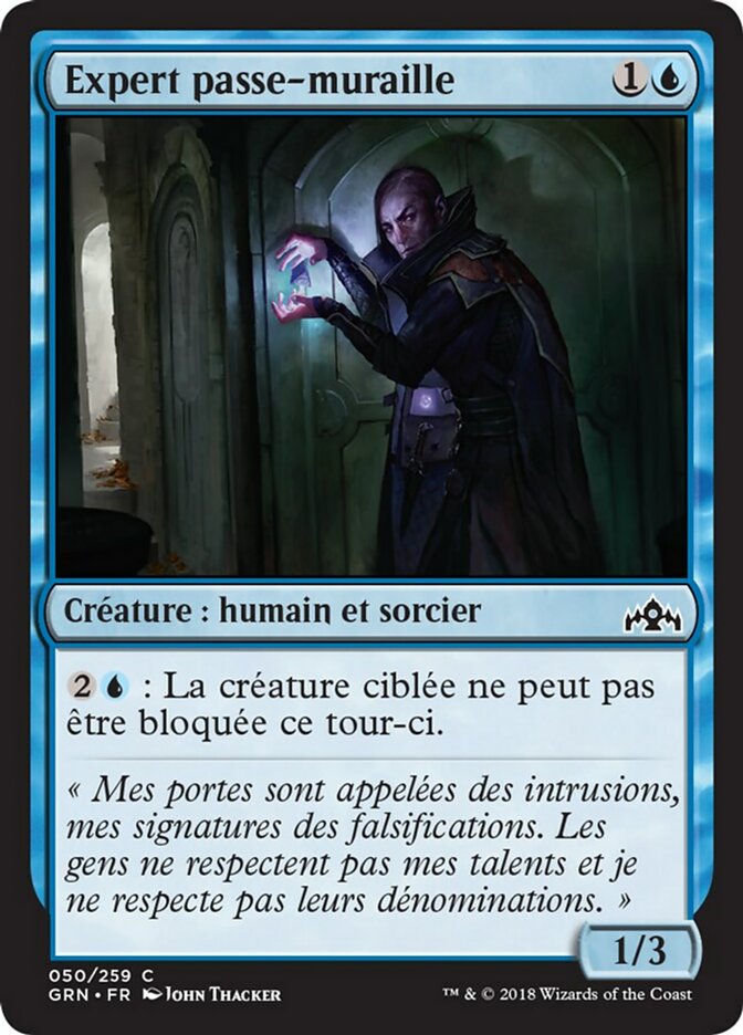 image Expert passe-muraille