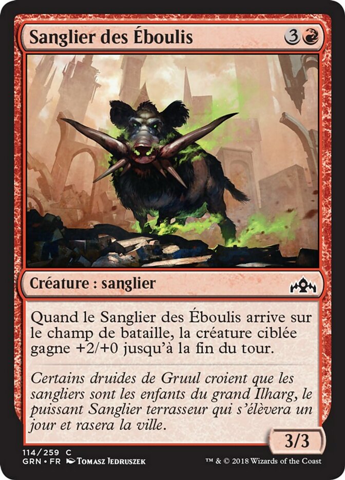 image Sanglier des Éboulis