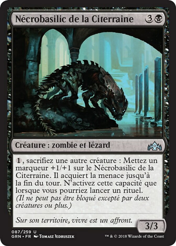 image Nécrobasilic de la Citerraine