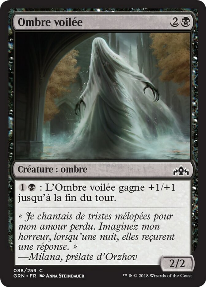 image Ombre voilée