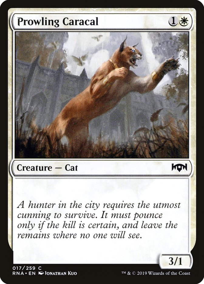 image Prowling Caracal