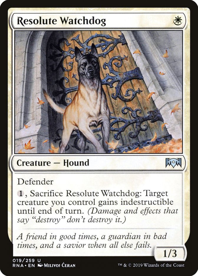 image Resolute Watchdog